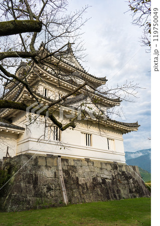 現存する雄大な宇和島城｜10月撮影｜愛媛県宇和島市 119750049
