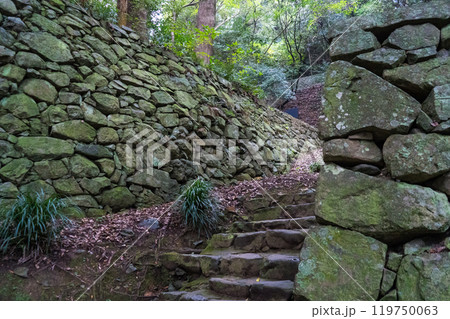 現存する雄大な宇和島城｜10月撮影｜愛媛県宇和島市 119750063