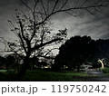 夜の幻想的な公園 119750242