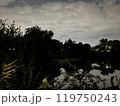 夜の幻想的な公園 119750243
