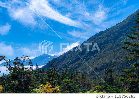 【山岳素材】初秋の頃の天狗原と雲海【長野県】 【山岳素材】初秋の頃の天狗原と雲海【長野県】 119750263