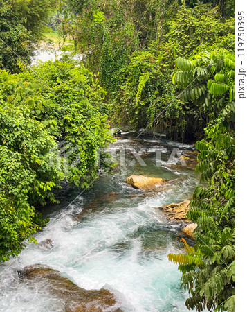 Water flowing over the rocks in tropical river surrounded by tropical forest. Mindanao, Philippines. Water flowing over the rocks in tropical river surrounded by tropical forest. Mindanao, Philippines. 119750395