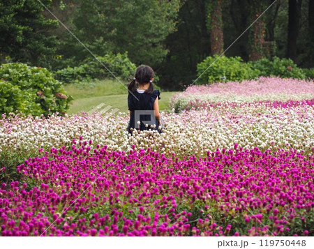 花畑で遊ぶ少女 119750448