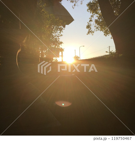夕暮れ 夕暮れ 119750467