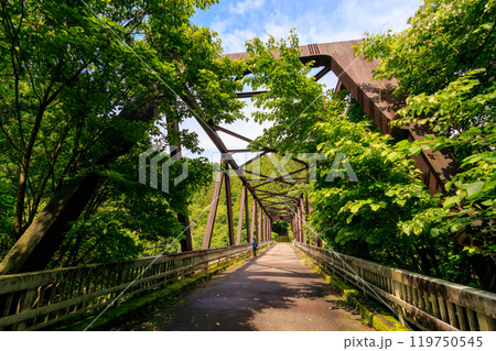 新緑の中の美しい鉄橋の橋梁 神奈川県相模原市早戸川林道2024年6月 新緑の中の美しい鉄橋の橋梁 神奈川県相模原市早戸川林道2024年6月 119750545