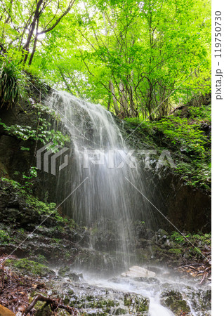 苔むした岩と新緑の崖から落ちる美しい小さな滝  神奈川県相模原市早戸川林道2024年6月 119750730