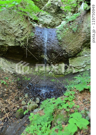 苔の生えた岩と岩 119750949