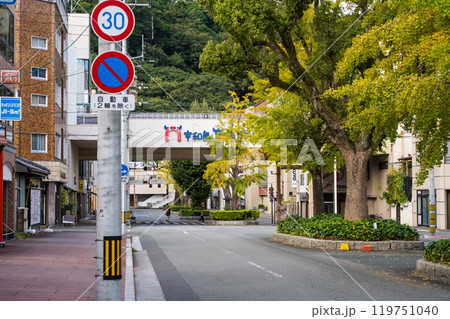 秋の曇り空と宇和島城｜南予文化会館前通り｜牛鬼ストリート｜きさいやロード｜10月撮影｜愛媛県宇和島市 119751040