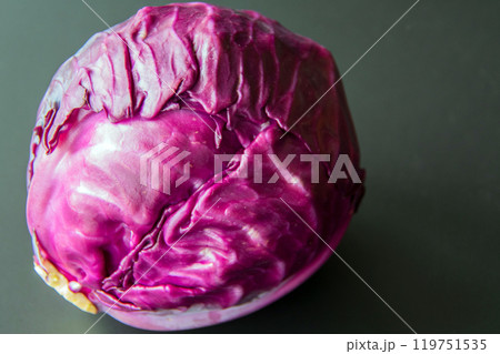 紫きゃべつ 119751535