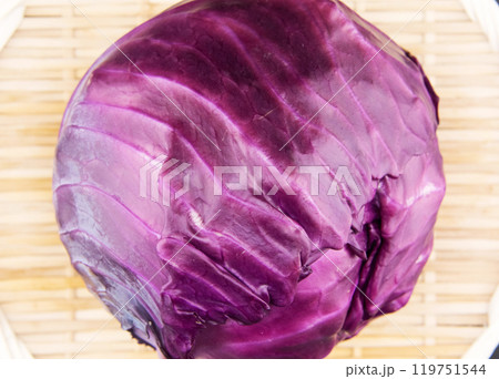 紫キャベツ 119751544