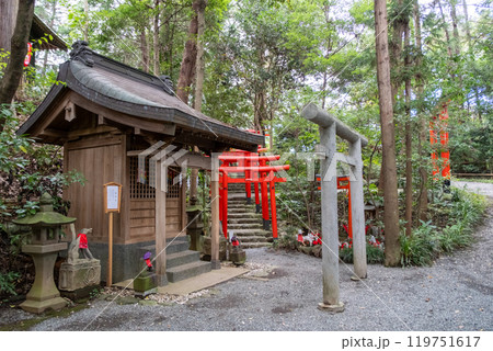 白笹稲荷神社 神奈川県秦野市 白笹稲荷神社 神奈川県秦野市 119751617