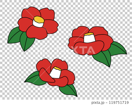 簡單的山茶花圖 簡單的山茶花圖 119751719