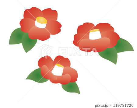 グラデーションのかかったかわいい椿のイラスト グラデーションのかかったかわいい椿のイラスト 119751720