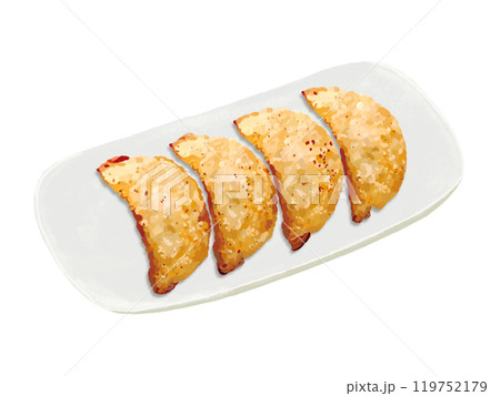 揚げ餃子（皿付き） 119752179