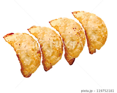 揚げ餃子（皿なし） 119752181