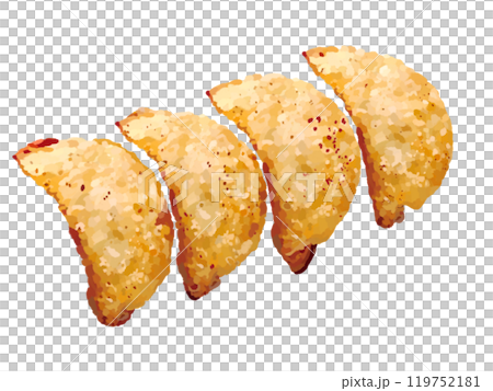 揚げ餃子（皿なし） 119752181