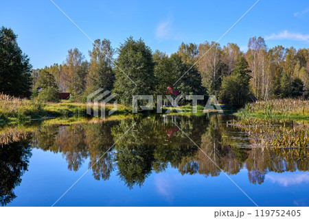 Tranquil Waterfront Gazebo on Sunny Day 119752405