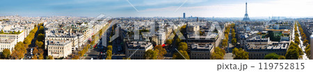 Panoramic view of Paris with Eiffel Tower 119752815