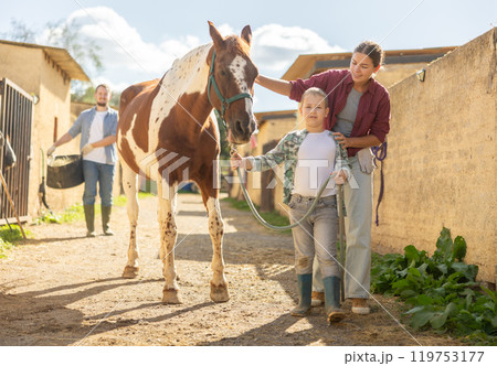 Woman and boy lead horse to feed 119753177