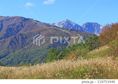 秋の白馬 八方尾根と白馬連峰 秋の白馬 八方尾根と白馬連峰 119753446