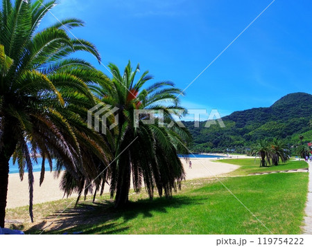 片添ヶ浜海浜公園(山口県周防大島町) 119754222