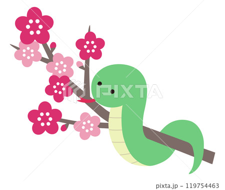 かわいい梅の花と蛇のベクターイラスト 巳 巳年 干支 アイコン 年賀状 かわいい梅の花と蛇のベクターイラスト 巳 巳年 干支 アイコン 年賀状 119754463