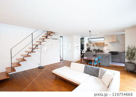 新築のマイホーム　若い日本人夫婦　シンプルな生活 119754668