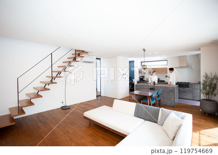 新築のマイホーム　若い日本人夫婦　シンプルな生活 119754669