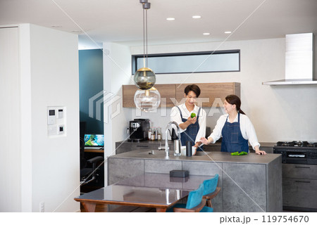 新築のマイホーム　若い日本人夫婦　シンプルな生活 119754670