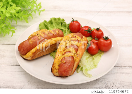 ホットドッグ ホットドッグ 119754672