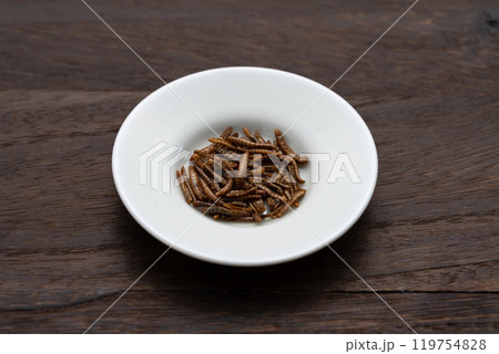 ミールワーム　昆虫食 119754828