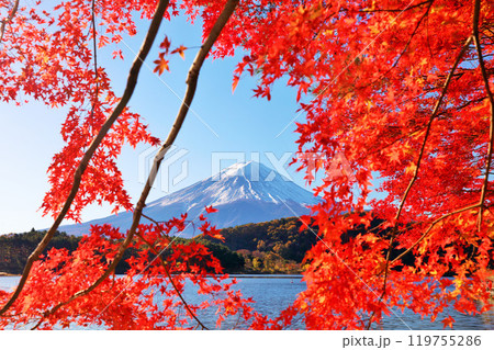 秋の紅葉と富士山 秋の紅葉と富士山 119755286