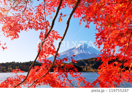 秋の紅葉と富士山 秋の紅葉と富士山 119755287
