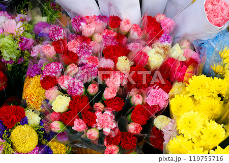 花屋さんの店頭に並ぶ色とりどりの花 花屋さんの店頭に並ぶ色とりどりの花 119755716