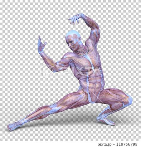 ポーズをとる男性 119756799