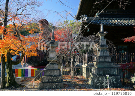 碧い空ときれいな紅葉_八事山興正寺 碧い空ときれいな紅葉_八事山興正寺 119756810
