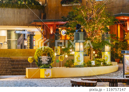 川崎・ラチッタデッラ(チネチッタ)のミモザフェスタ 雪降る夜の街並み【神奈川県・川崎市】 川崎・ラチッタデッラ(チネチッタ)のミモザフェスタ 雪降る夜の街並み【神奈川県・川崎市】 119757147