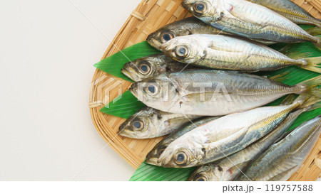 生の真アジ 119757588