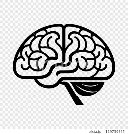 Vector outline of an illustration of the human brain 119759335