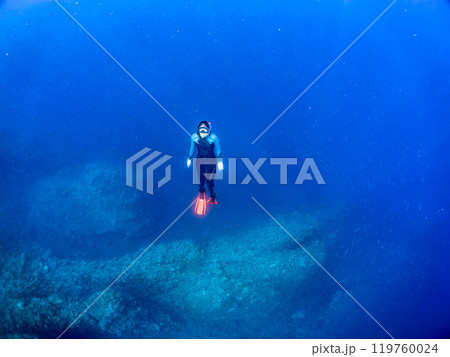 可愛いクマノミペア、ミツボシクロスズメダイ他の群れ。スキンダイバーも泳いでいる。中木ヒリゾ浜2024 119760024