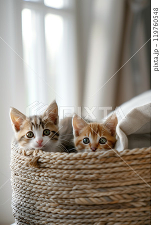 Curious kittens peeking from woven basket indoors with bright and light image 119760548
