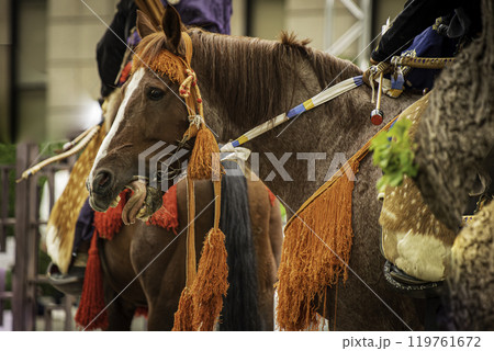 流鏑馬神事の馬 流鏑馬神事の馬 119761672