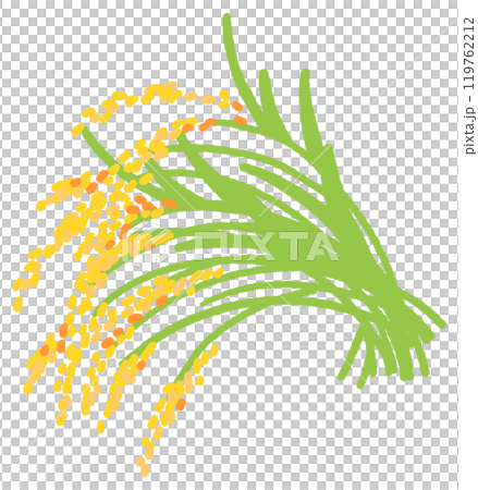 重熟稻庫存插畫素材 119762212