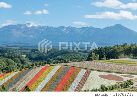 【美瑛町 四季彩の丘から秋の風景と十勝岳連峰】 【美瑛町 四季彩の丘から秋の風景と十勝岳連峰】 119762715