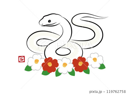 ツバキのお花と八の字にとぐろを巻いている縁起の良い蛇のイラスト 墨絵風でお洒落な巳年の年賀状素材  119762758