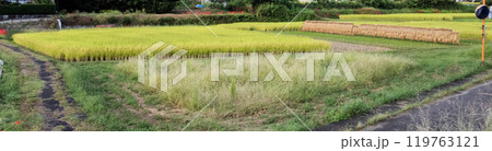 秋の稲田の景色 はさ掛け風景 秋の稲田の景色 はさ掛け風景 119763121