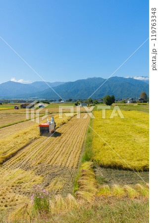 実りの秋【安曇野市穂高】 実りの秋【安曇野市穂高】 119763348