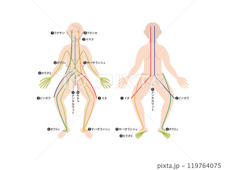 タイ伝統医学 アーユルヴェーダ「セン」エネルギーの流れ タイ伝統医学 アーユルヴェーダ「セン」エネルギーの流れ 119764075