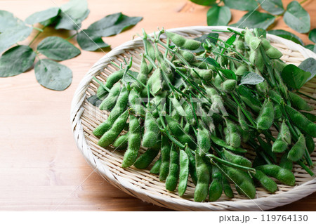 枝付き枝豆 119764130