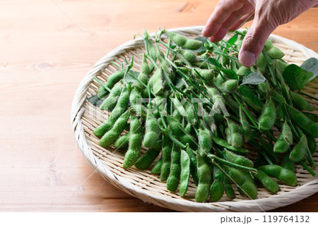 枝付き枝豆 119764132